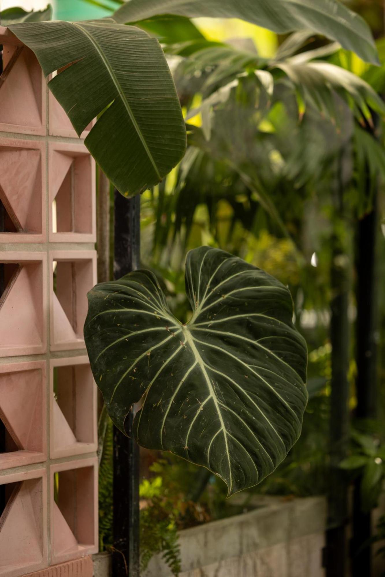 Sui Boutique Hotel Medellín Dış mekan fotoğraf